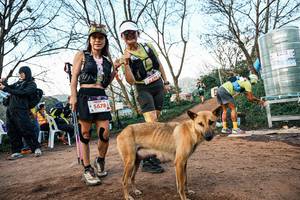 BIB: 
                            <button type="button" onclick="openModal(25457937)" class="btn btn-primary btn-sm float-right btn-popup" data-toggle="modal" data-target=".modal-high-quality">
                        <i class="fas fa-shopping-cart"></i> Add to Cart
                    </button>
                                            <button type="button" onclick="isThisMe(25457937, true)" class="btn btn-success btn-sm float-right btn-popup btn-isme hidden" data-toggle="tooltip" data-placement="bottom" title="นี่คือรูปของคุณใช่ไหม คลิกที่นี่เพื่อเอาเข้าอัลบั้ม">
                        <i class="fas fa-plus"></i> Add to album
                    </button>
                    <button type="button" onclick="isThisMe(25457937, false)" class="btn btn-warning btn-sm float-right btn-popup btn-isnotme hidden">
                        <i class="fas fa-ban"></i> Remove from album
                    </button>